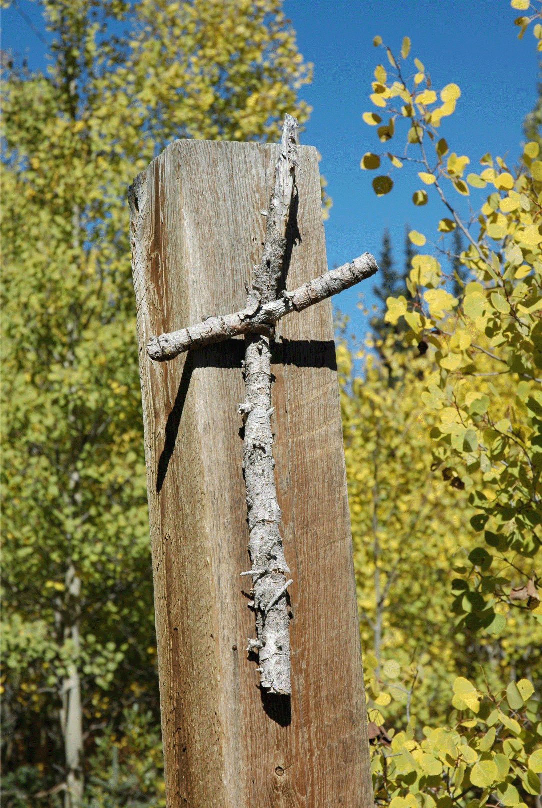 CemCross%20copy